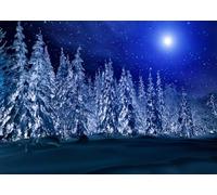 CORFOTO 4.5x3m Sfondo di alberi di Natale notturni Paesaggio notturno invernale Foresta di abeti rossi Sfondo fotografico Decorazione per feste di Natale Banner Accessori per servizi fotografici