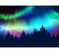 CORFOTO 4.5x3m Sfondo paesaggio invernale Sfondo colorato Aurora boreale Sfondo fotografico Notte nella foresta Cielo stellato Sfondi notturni invernali Decorazioni per feste di Natale