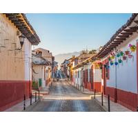 CORFOTO 4.5x3m Tessuto per fondale in stile coloniale messicano con vasi floreali colorati su strada, tema latinoamericano, sfondo per foto di festa del Cinco de Mayo