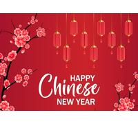 CORFOTO 5.2x3m Sfondo per la Festa di Primavera Cinese Lanterna Rossa Sfondo Fotografico 2026 Anno del Cavallo Capodanno Lunare Cinese Famiglia Giardino Esterno Forniture per Feste