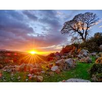 CORFOTO 5.2x3m Tessuto per fondale con paesaggio roccioso e quercia solitaria, tramonto sulle colline mediterranee, sfondo per eventi e cabine fotografiche