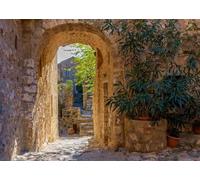 CORFOTO Sfondi Vicolo Antico 3.5x3m Arco in Pietra Lastricato con Vegetazione Edifici Lontani Sfondo Storico Tenda Poliestere Decorazione Parete Atmosfera Serena