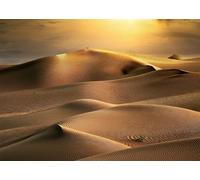 CORFOTO Sfondo in Tessuto 3.5x3m Dune di Sabbia Dorata del Deserto al Tramonto con Texture Ondulate e Luce Calda per Fotografia di Natura e Avventura