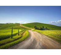 CORFOTO Sfondo in Tessuto 3.5x3m Strada Campagnola Toscana con Colline Verdi, Cipressi e Sentiero di Terra Sinuso per Fotografia di Paesaggio Rurale Italiano