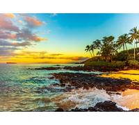 CORFOTO Tessuto 1.5x1.2m Tramonto sulla Spiaggia Hawaiana Sfondo Costa Tropicale con Palme e Oceano Turchese all'Ora Dorata Sfondo Fotografico per Festa a Tema Vacanze sull'Isola Accessori Foto