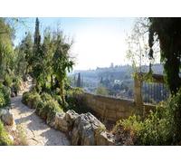 CORFOTO Tessuto 1.5x1.2m Vista Città Vecchia di Gerusalemme Sfondo Cupola della Roccia dal Sentiero Escursionistico del Monte degli Ulivi Sfondo Fotografico per Festa a Tema Viaggio Terra Santa