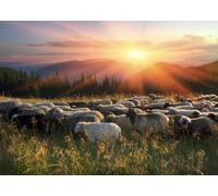 CORFOTO Tessuto 1.5x1m Pecore di Montagna al Tramonto Sfondo Gregge di Pecore sulla Collina con Luce Ora d'Oro Sfondo Fotografico per Festa a Tema Campagna Accessori Foto