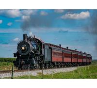 CORFOTO Tessuto 2.7x1.8m Sfondo Treno a Vapore Vintage Locomotiva Rétro Ferrovia Campestre Sfondo Fotografico per Festa Matrimonio Viaggio Avventura Accessori Foto