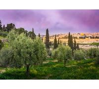 CORFOTO Tessuto 3.5x2.5m Sfondo Monte degli Ulivi Gerusalemme Cupola della Roccia Sfondo Fotografico per Decorazioni di Festa a Tema Religioso Accessori per Sessioni Fotografiche di Viaggio