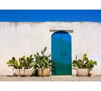 CORFOTO Tessuto 3.5x2.5m Sfondo Porta Blu Mediterranea Cactus Muro Bianco Rustico Sfondo Fotografico per Festa Matrimonio Viaggio Estate Accessori Foto