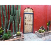 CORFOTO Tessuto 3.5x3m Sfondo Porta Muro Rosso Messicano Cactus Alti Piante del Deserto Scena Sud-Ovest Sfondo Fotografico per Festa Matrimonio Fiesta Viaggio Accessori Foto