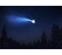 CORFOTO Tessuto 3x2.5m Cometa su Foresta Invernale Sfondo Stella Cadente Brillante su Foresta di Pini Innevata Cielo Notturno Sfondo Fotografico per Fantasia Natura Festa Accessori Foto