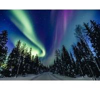 CORFOTO Tessuto 3x2.5m Foresta delle Luci del Nord Sfondo Aurora Boreale Vibrante su Pini Innevati e Cielo Stellato Sfondo Fotografico per Festa a Tema Natura Artica Accessori Foto