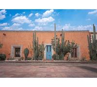 CORFOTO Tessuto 3x2m Sfondo Hacienda Messicana Pareti Terracotta Porta Blu Cactus Strada lastricata Sfondo Fotografico per Decorazioni di Festa a Tema Fiesta Accessori Foto