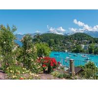CORFOTO Tessuto 4.5x2.5m Giardino Svizzero sul Lago Sfondo Rose Colorate con Lago e Barche a Vela contro le Alpi Innevate Sfondo Fotografico per Festa a Tema Vacanze Europee Accessori Foto