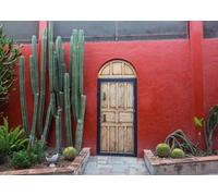 CORFOTO Tessuto 5.2x3m Sfondo Porta Muro Rosso Messicano Cactus Alti Piante del Deserto Scena Sud-Ovest Sfondo Fotografico per Festa Matrimonio Fiesta Viaggio Accessori Foto