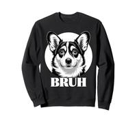 Corgi Art Corgi a Tema Corgi Decor Cozy Corgi Lovers Corgis Felpa