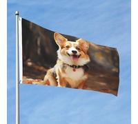Corgi, bandiera per cani da 0,8 x 0,9 m, doppia faccia, non sbiadisce, bandiera da giardino di benvenuto, bandiera da cortile con decorazione per esterni in ottone, decorazione per cortile, portico