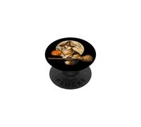 Corgi Cappello da strega Jack O Lantern Pumpkin Full Moon scopa PopSockets PopGrip Adesivo