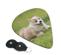 Corgi - Plettri per chitarra elettrica, acustica, 6 pezzi, con stampa di cuccioli, per basso, chitarre acustiche, ukulele, sottili, medi, spessori, 0,96 mm