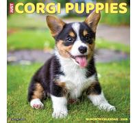 Corgi Puppies 2026 12 X 12 Wall Calendar