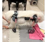 Corgi, sedia a rotelle per cani di taglia piccola e grande, regolabile, 4 ruote, supporto completo per anca e gambe, ideale per animali disabili