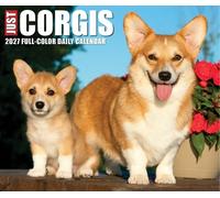 Willow Creek Press, Just Corgis Calendario 2027 13,7 x 15,7 cm