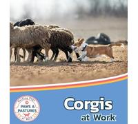 Corgis at Work: 3