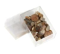 CORHAD Collezione di Pietre e Minerali Naturali Mischiati per Materiale Creativo e Insegnanti, Campioni di Pietre e Minerali per Attività Educative