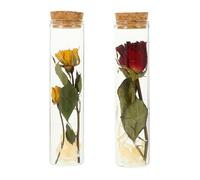 CORHAD Mini Bottiglie di Vetro con Tappo di Sughero, Set da 2 Bottigliette per Desideri con Fiori Secchi Rossi e Gialli, Decorazione Romantica per Casa, Ufficio e Feste