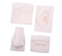 CORHAD Modello di Organi di Senso in PVC Morbido, Set da 4 Pezzi per Schizzo Artistico, Ausili Didattici per Studenti e Decorazione da Scrivania per Scuola e Studio