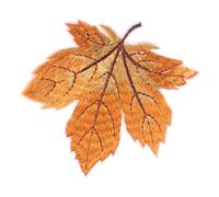 CORHAD Toppe Ricamate Foglia D'acero 12 Pezzi Morbido, Applique Adesive per Abbigliamento e Borse, Accessori Decorativi per Cucito e Artigianato, Personalizzabili per Moda Autunnale