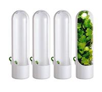 Coriandolo Guardiano,Contenitore di coriandolo per frigorifero,Contenitore multifunzionale per risparmiare coriandolo | 4 pezzi di supporto per piante verdi per casa, cucina, camera da letto