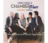 Corky Siegel - Different Voices