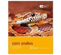 Corn Snakes: Understanding and Caring for Your Pet