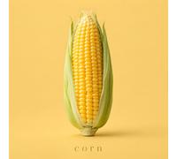corn: un viaggio straordinario nel mondo degli ingredienti