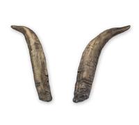 Corna artistiche realistiche da caprone nano con circa 25 cm di lunghezza di Motes Masken, fatte a mano, robuste e leggere - Ideali per Krampus, Perchten, feste e eventi a tema e decorazioni (ZwergZB)