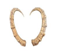 Corna di capra Bezoar di circa 117 cm - corna artistiche naturali di Motes Masken, fatte a mano, robuste e leggere - Ideali per Krampus, Perchten, feste e eventi a tema e decorazioni (Bezoar di capra