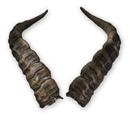 Corna di Capra Iberica ca. 49cm - Corna artistiche realistiche di Motes Maschere, fatte a mano, robuste e leggere - Ideali per Krampus, Perchten, feste e eventi a tema e decorazioni (Iberien SB 2)