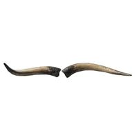 Corna di mucca delle Highland ca. 57 cm - Corna artistiche realistiche di Motes Masken, realizzate a mano, robuste e leggere - Ideali per Krampus, Perchten, feste a tema e decorazioni (mucca delle
