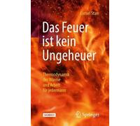 Cornel Stan Das Feuer ist kein Ungeheuer (Tascabile)