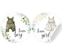 CORNER LACE 48 adesivi per rivelare il genere dei vestiti del bambino, verde chiaro, team boy o team girl, etichette autoadesive per biglietti di auguri, baby shower, decorazioni per feste