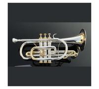 Cornet Bb B Flat Trigger Cornet Strumento in ottone con custodia rigida, bocchino, panno e guanti, placcato argento