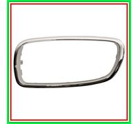 Parti della griglia del radiatore BLIC 6502-07-0076995P