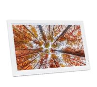 Cornice digitale con display IPS, sensore di movimento e risoluzione 1080P per regali