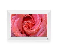 Cornice Digitale Da 10 Pollici Con Slot For Scheda Micro SD, Riproduzione Di Immagini Pubblicitarie Video In Loop For Negozi Al Dettaglio Di Centri Commerciali Condividi facile(White)