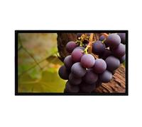 Cornice digitale di grandi dimensioni da 32 pollici, schermo IPS Full HD, timer di accensione e spegnimento, montaggio a parete, facile da configurare (Color : Black, Size : Without wifi)