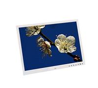 Cornice digitale multifunzione da 15 pollici Pulsante touch ad alta definizione LED album elettronico riproduzione ciclica automatica di video/foto/musica Cornice digitale