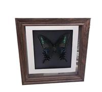 Cornice espositiva for esemplari di farfalle in stile retrò, scatola for ombre in vetro for insetti con cornice in noce cava da 2 cm, cornici for foto, decorazioni for la casa(13x18x2cm 7Inch)