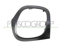 Cornice Esterna Fanale Posteriore Sinistro Per Smart Forfour Dal 2014 Al 2019